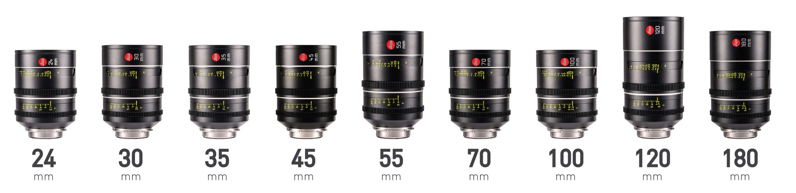 Leica Leitz Thalia large format lenses