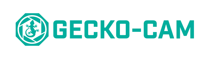 Gecko-Cam Cine Lens Rentals