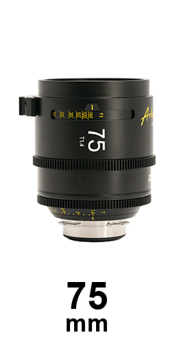DZO Arles Primes strip
