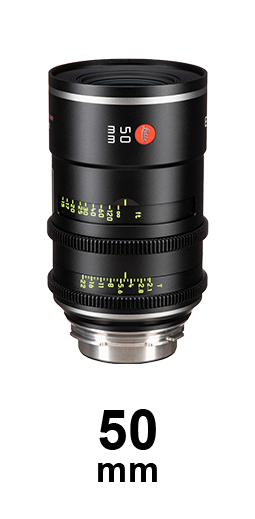 Leitz Elsie strip
