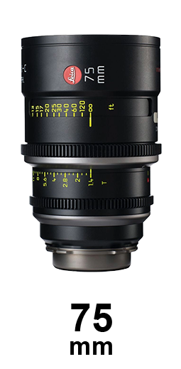 Leitz Summilux-C Lenses strip 10