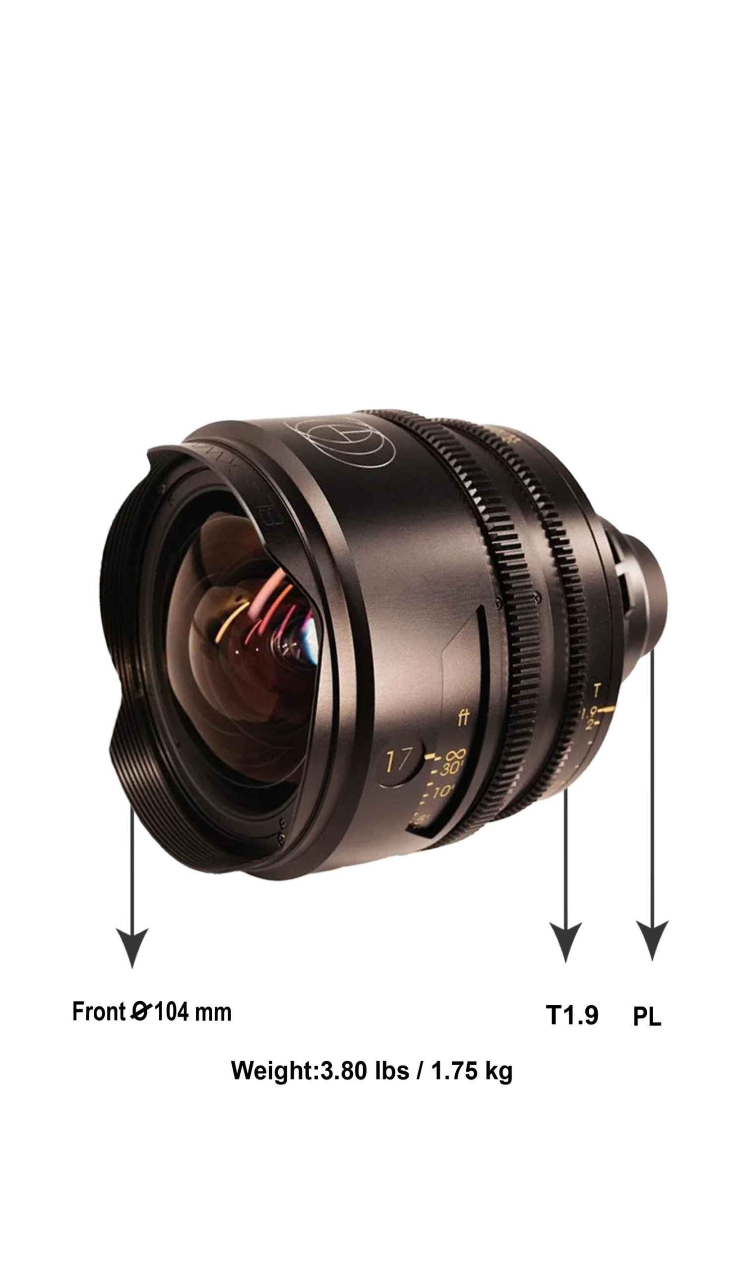 Tribe7_Blackwing7_-17mm_Diamension-scaled