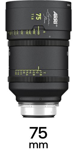 ARRI Signature Primes strip 11