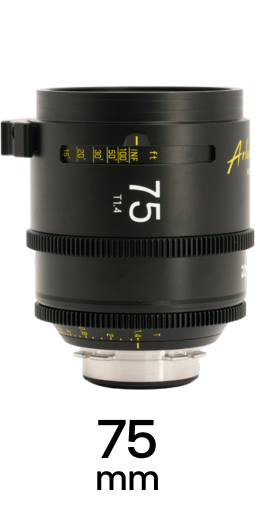 DZO Arles Primes strip