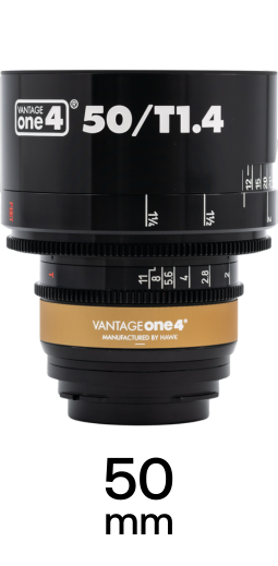 Hawk Vantage One4 strip