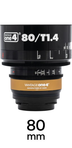 Hawk Vantage One4 strip