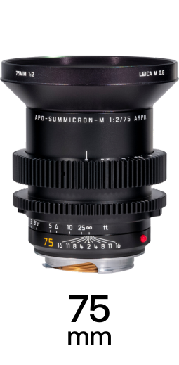 Leica M 0.8 strip