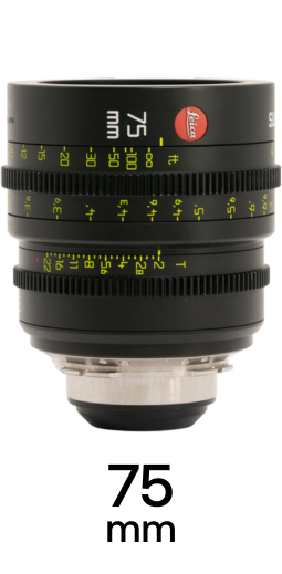Leitz Summicron-C strip 9