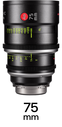 Leitz Summilux-C Lenses strip 10