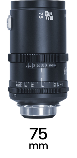 P+S Technik EVOLUTION 2x strip