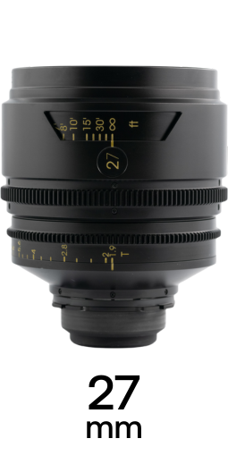 TRIBE7 BLACKWING7 strip