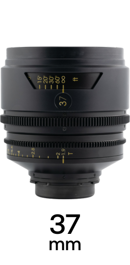 TRIBE7 BLACKWING7 strip