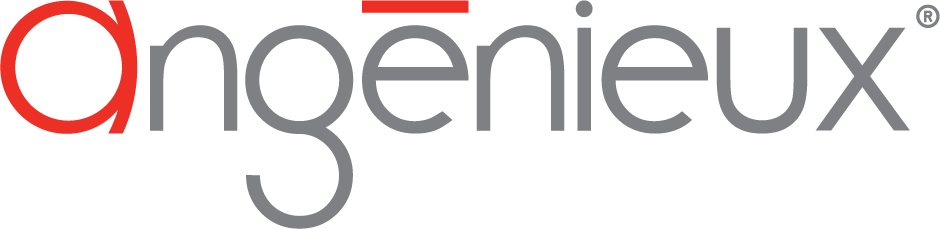 angenieux-1.png